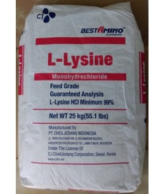 L-LySinE